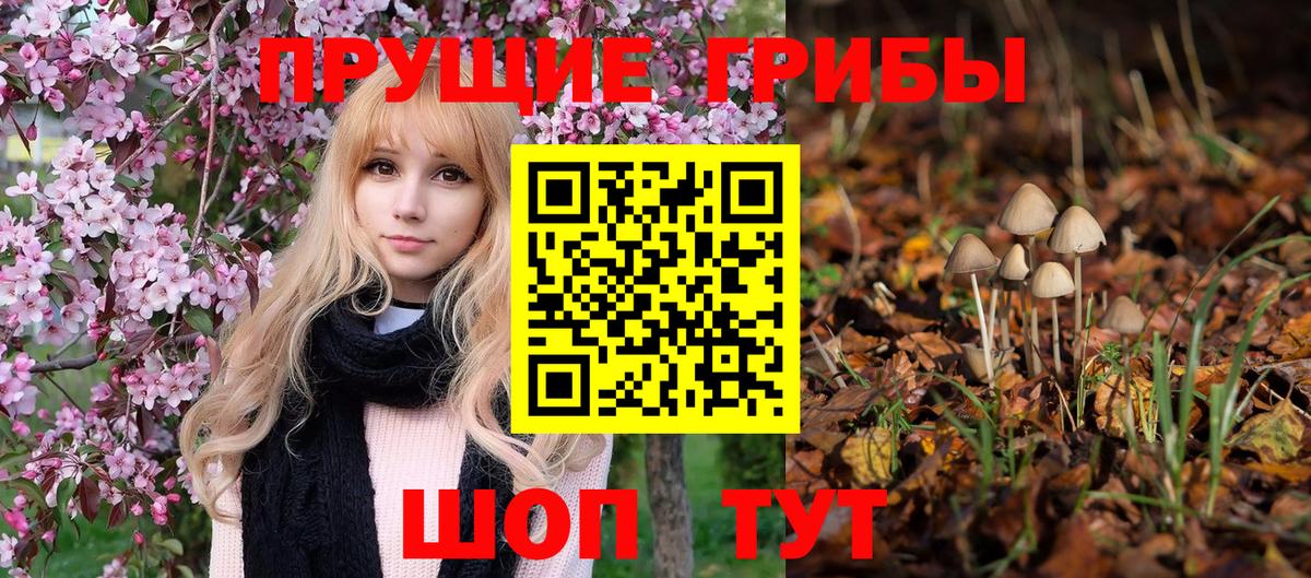 Псилоцибиновые грибы прущие грибы  Вход с VPN  Валуйки  Псилоцибиновые грибы прущие грибы 
